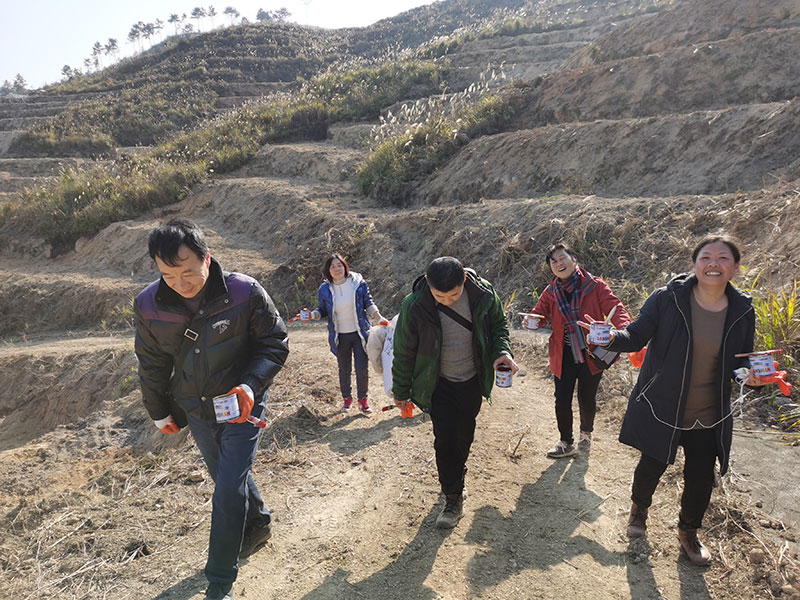 公司員工為李樹苗斷口涂漆，保護樹苗傷口和水份